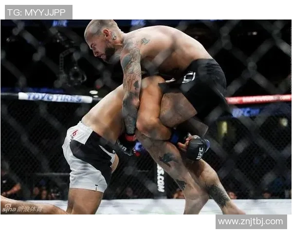 菲多与马特的巅峰对决谁将成为拳击界的新传奇