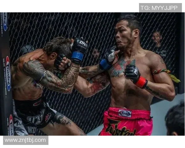 肥鸭与祖耶夫精彩对决视频回顾斗智斗勇引发热议与讨论